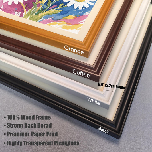 A close-up view of the four frame color options—Orange, Coffee, White, and Black—stacked on top of each other, with details on material and dimensions.
