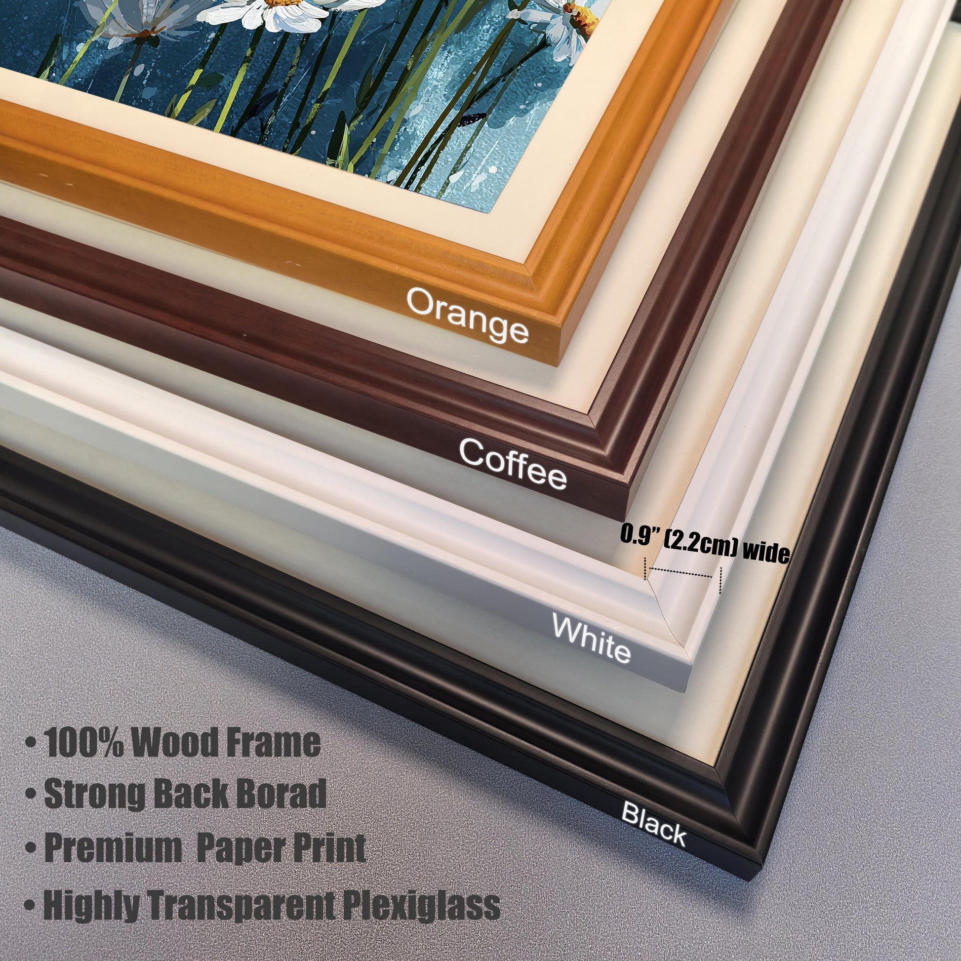 A close-up, stacked view of four different frame color options: orange, coffee, white, and black. Text lists features like "100% Wood Frame" and "Highly Transparent Plexiglass."