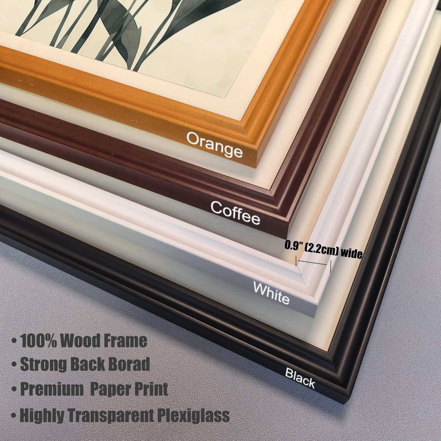 A close-up, stacked view of four different frame color options: orange, coffee, white, and black. Text lists features like "100% Wood Frame" and "Highly Transparent Plexiglass."