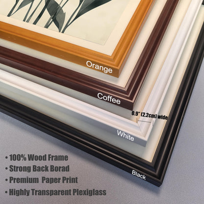 A close-up, stacked view of four different frame color options: orange, coffee, white, and black. Text lists features like "100% Wood Frame" and "Highly Transparent Plexiglass."