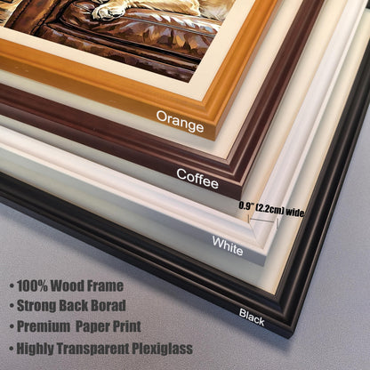 Close-up of four frame corners (Orange, Coffee, White, Black). Text lists features: 100% Wood Frame, Premium Paper Print, and Highly Transparent Plexiglass.