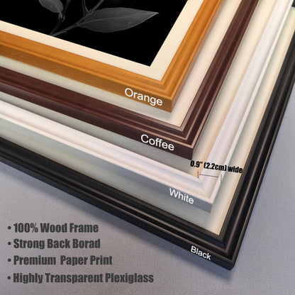 A close-up view of four frame corners in different colors: orange, coffee, white, and black. Text lists frame features like 100% wood and transparent plexiglass.