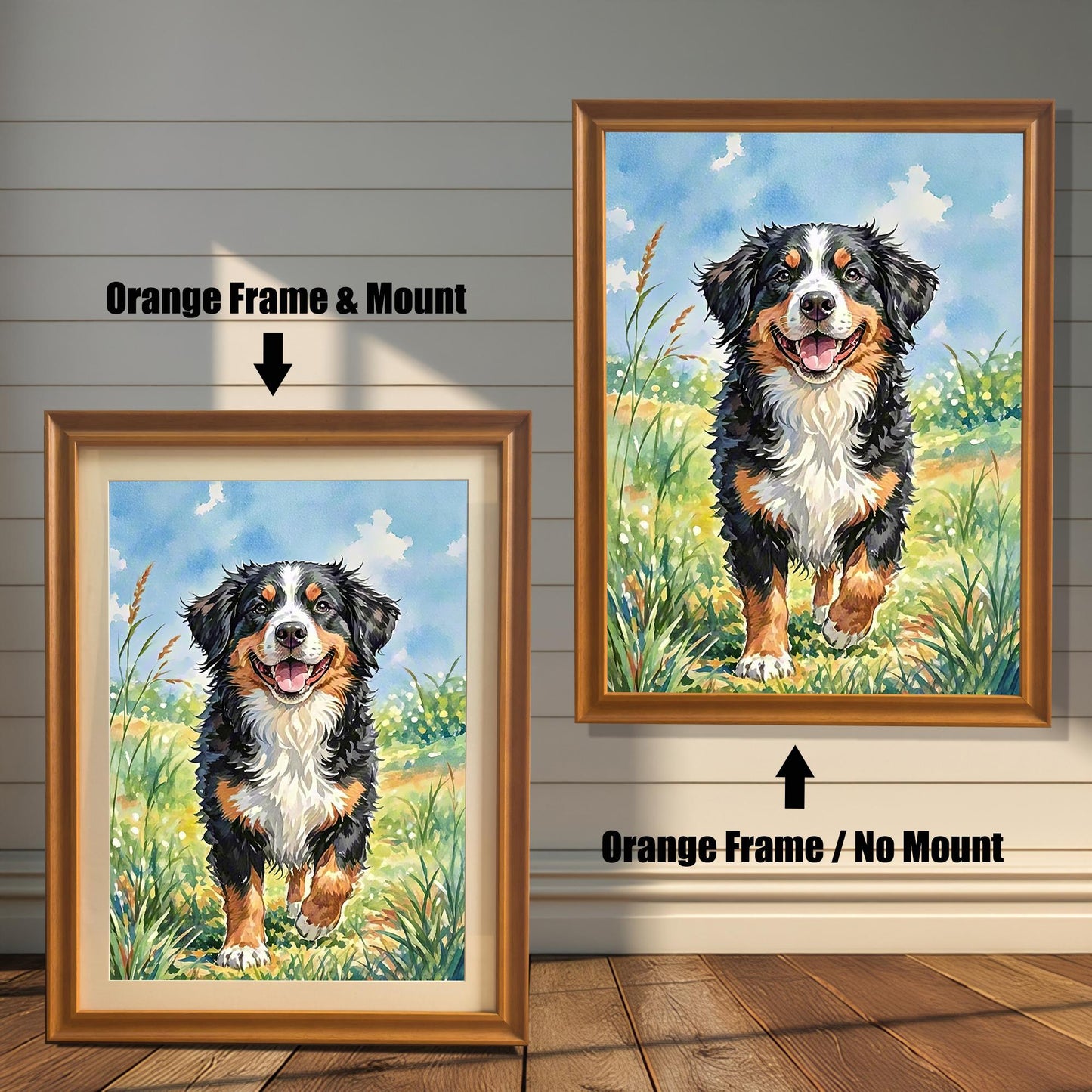 A comparison of two framed prints of the Bernese mountain dog painting. One has an orange frame with a mount (mat), and the other has an orange frame with no mount.