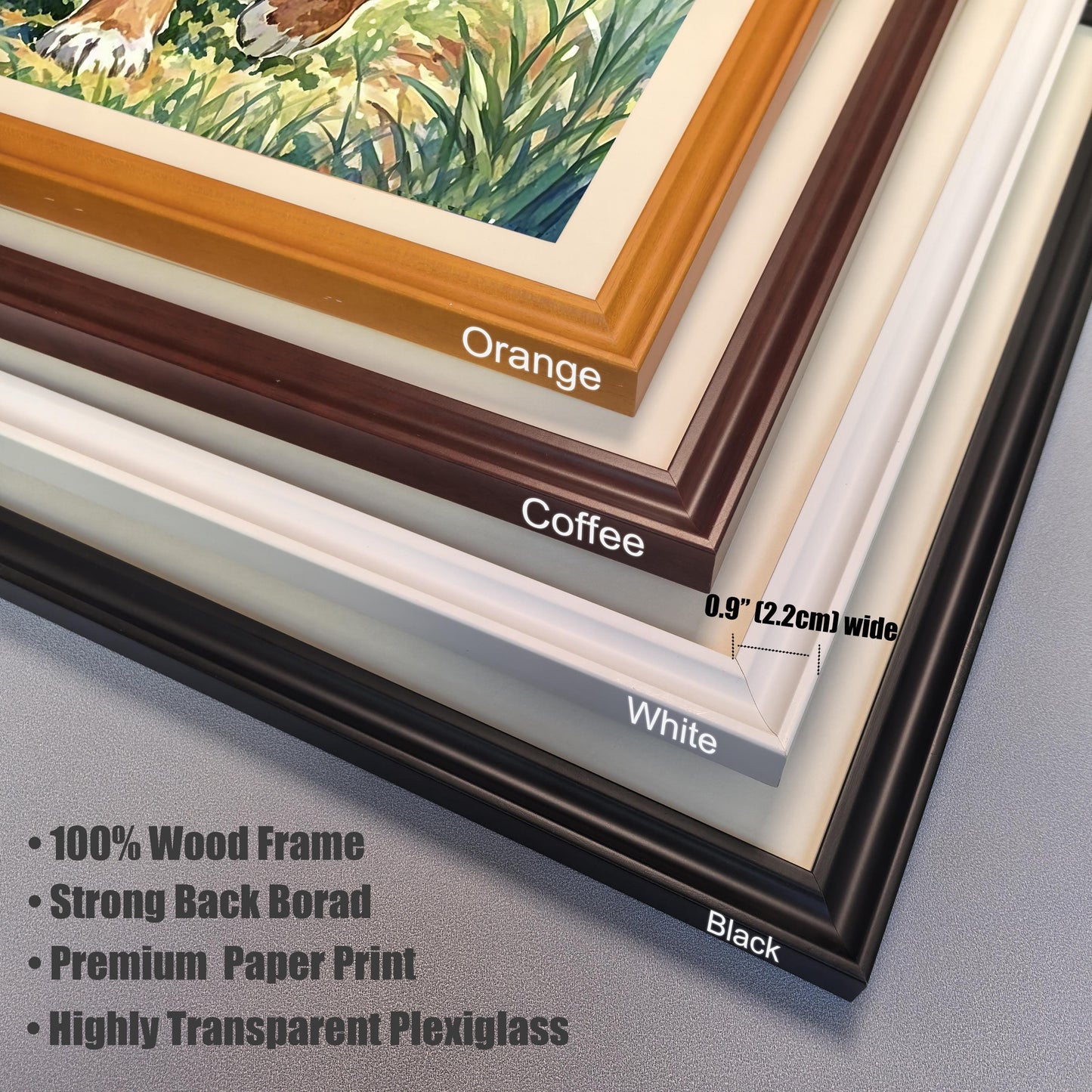 A close-up of the four frame options: Black, White, Coffee, and Orange. Text describes frame features: 100% Wood Frame, Strong Back Board, Premium Paper Print, and Highly Transparent Plexiglass.