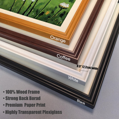 A close-up view of the four frame color options—Orange, Coffee, White, and Black—stacked on top of each other, with details on material and dimensions.