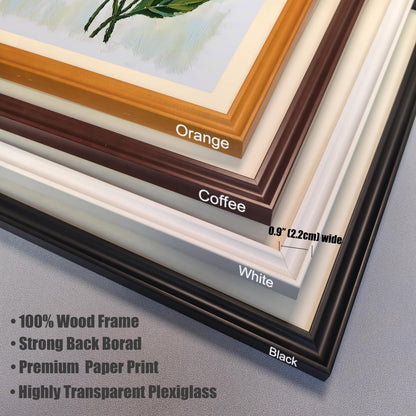 A close-up shows the corners of four different frames in various colors: orange, coffee-brown, white, and black. Text lists frame materials and features.