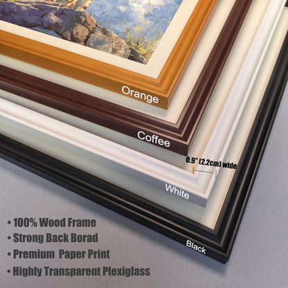A close-up, stacked view of the four available frame styles: orange, coffee, white, and black. A ruler indicates the frame width is 0.9 inches. Text lists features like "100% Wood Frame" and "Highly Transparent Plexiglass."