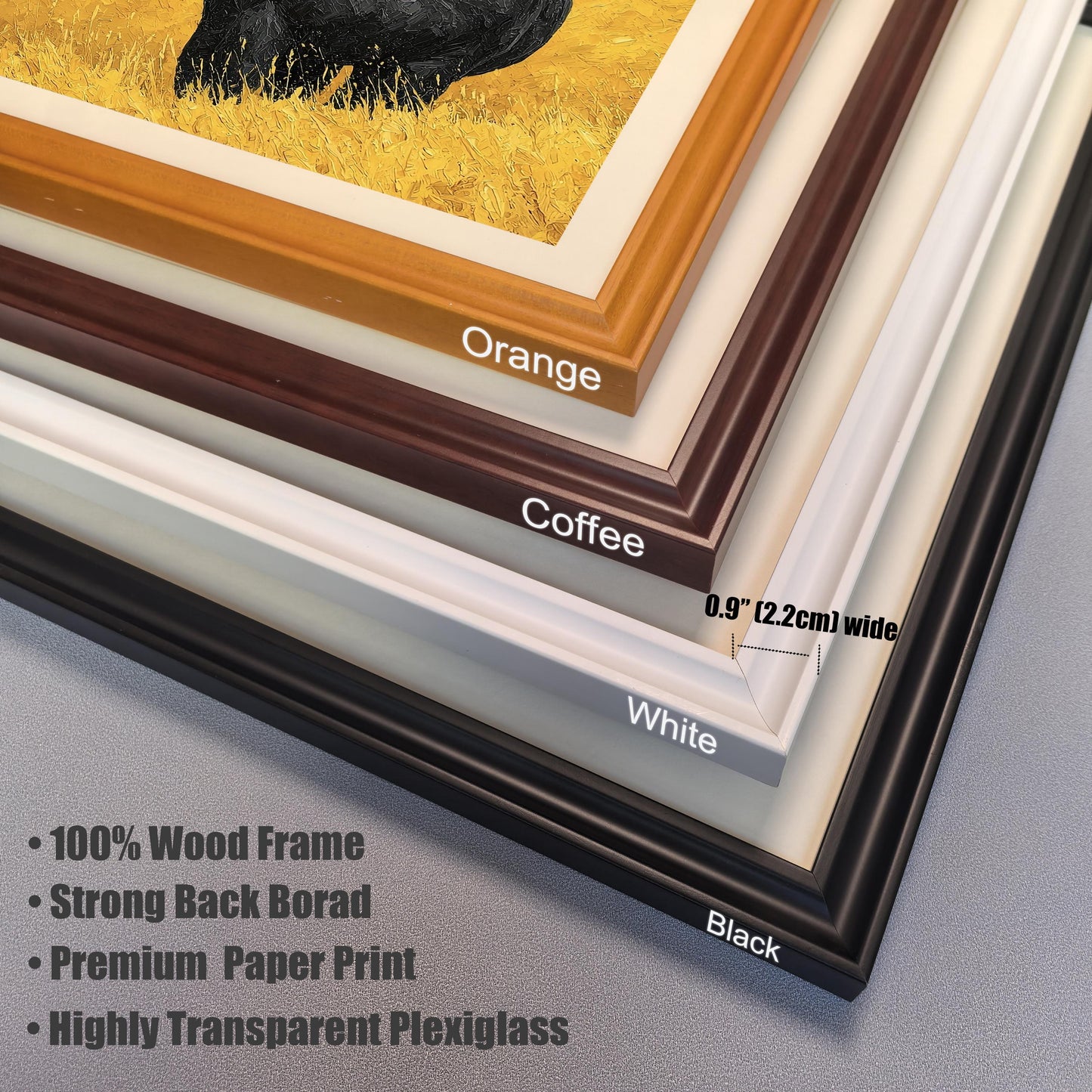 Close-up of four frame corner samples: Orange, Coffee, White, and Black. Text indicates a **0.9" wide** frame, **100% Wood Frame**, **Premium Paper Print**, and **Highly Transparent Plexiglass**.