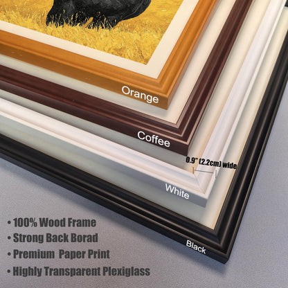 Close-up of four frame corner samples: Orange, Coffee, White, and Black. Text indicates a **0.9" wide** frame, **100% Wood Frame**, **Premium Paper Print**, and **Highly Transparent Plexiglass**.