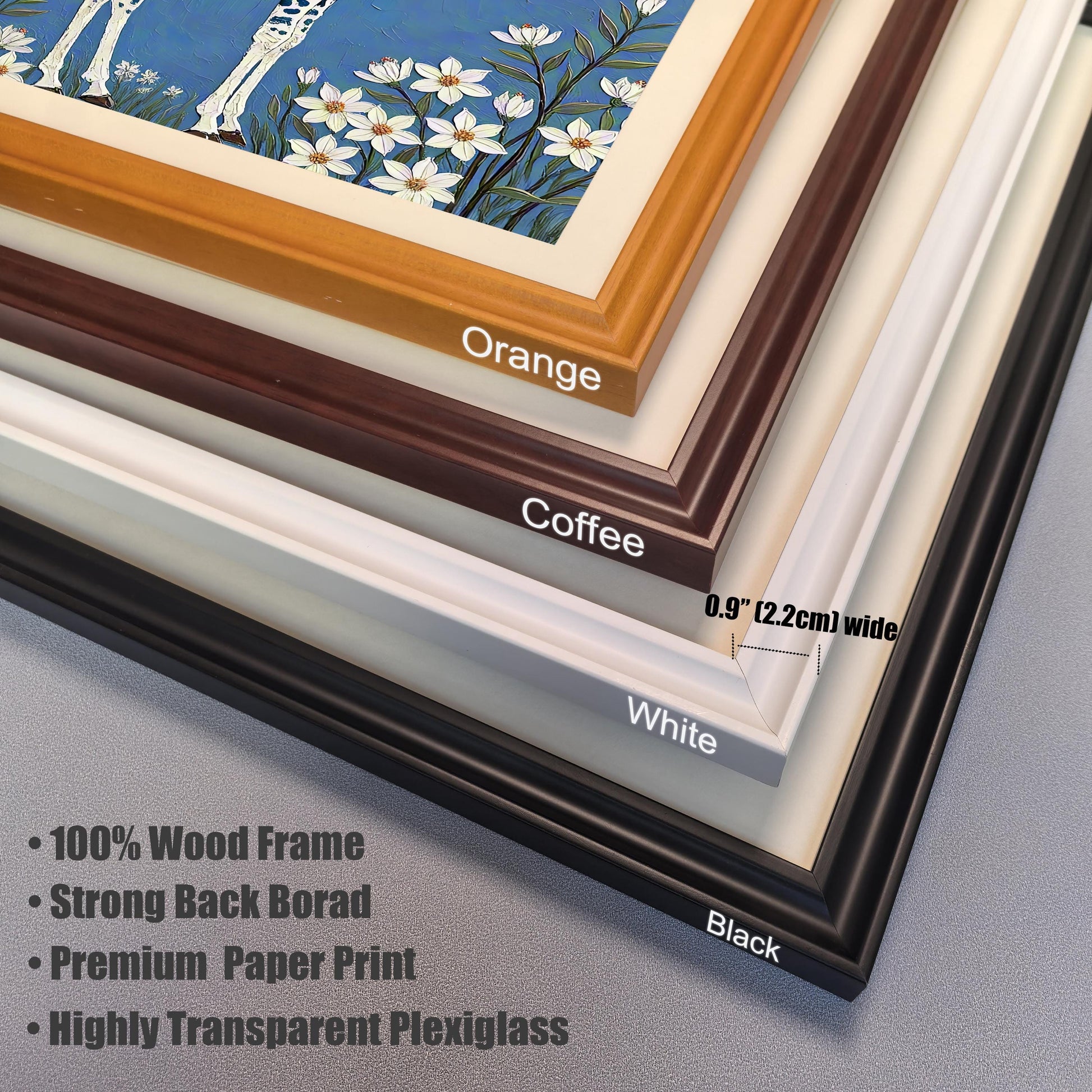 A close-up view of four stacked frame corners: Orange, Coffee, White, and Black, highlighting the 0.9" (2.2cm) width, wood frame, plexiglass, and backboard.