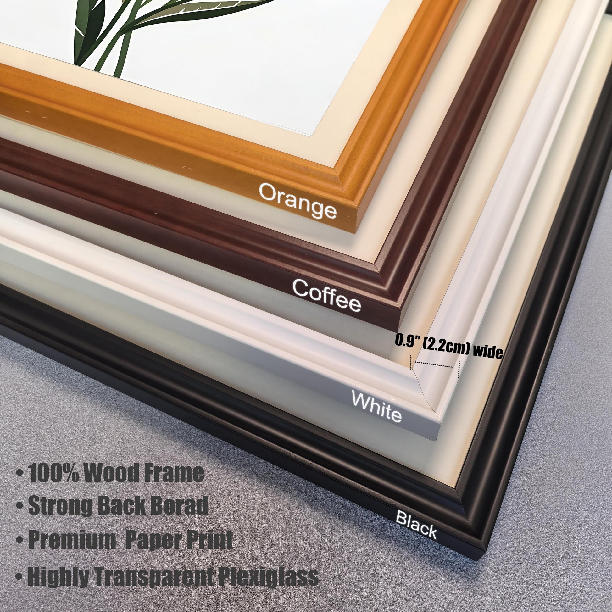 Close-up photo of the four available wood frame corner samples stacked, showing the colors: Orange, Coffee, White, and Black. Text highlights frame specifications: 0.9" (2.2cm) wide, 100% Wood Frame, Strong Back Board, Premium Paper Print, and Highly Transparent Plexiglass.