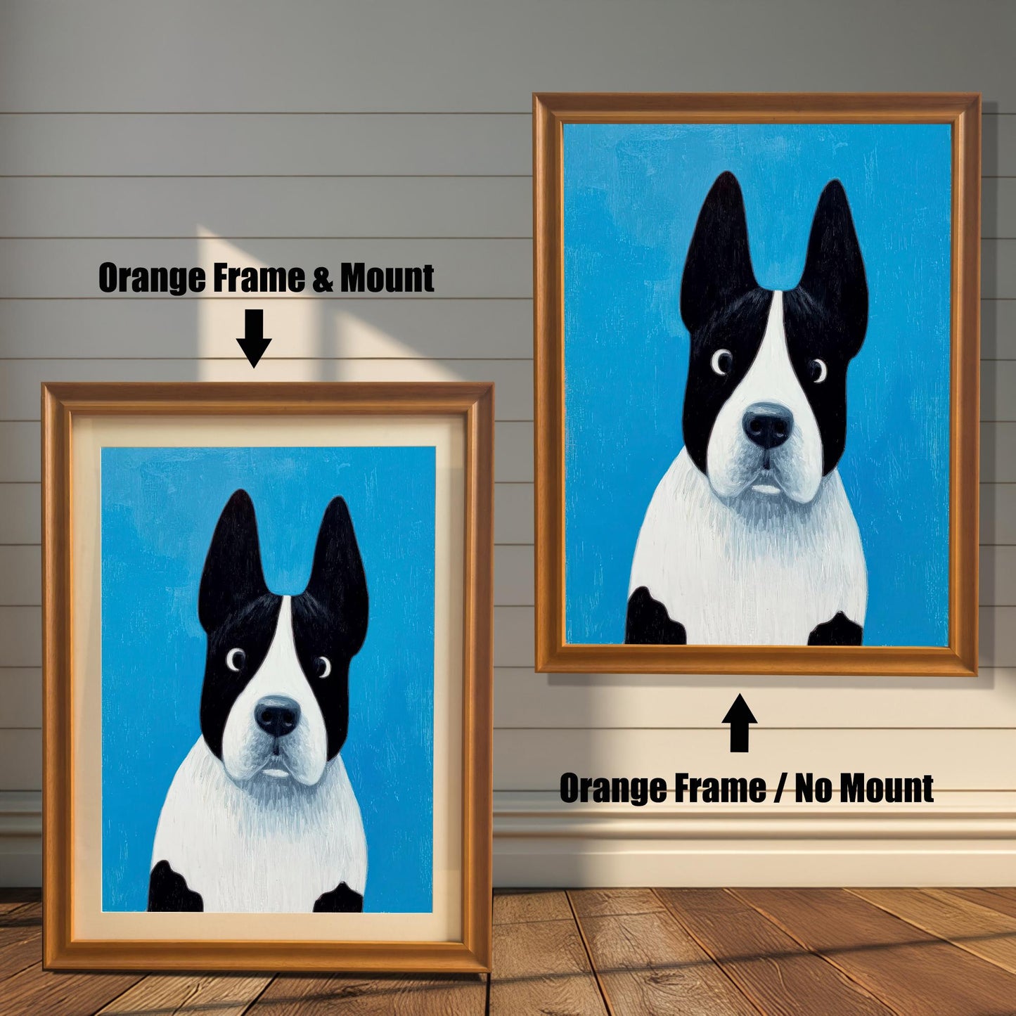 Painting of the black and white dog on a blue background. The image shows two framed options: one on the left with an Orange Frame & Mount (matting), and one on the right with an Orange Frame / No Mount. Both are displayed against a white wood-paneled wall and a wooden floor.