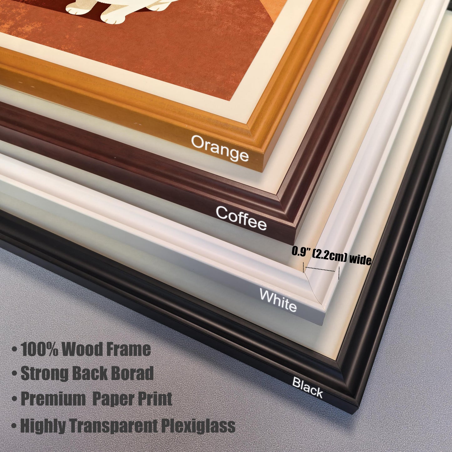 Close-up, stacked corner view of the four available frame colors: Orange, Coffee, White, and Black. The art shown is the white cat looking up. Text highlights frame materials: "100% Wood Frame," "Strong Back Board," "Premium Paper Print," and "Highly Transparent Plexiglass." The frame width is specified as 0.9" (2.2cm) wide.