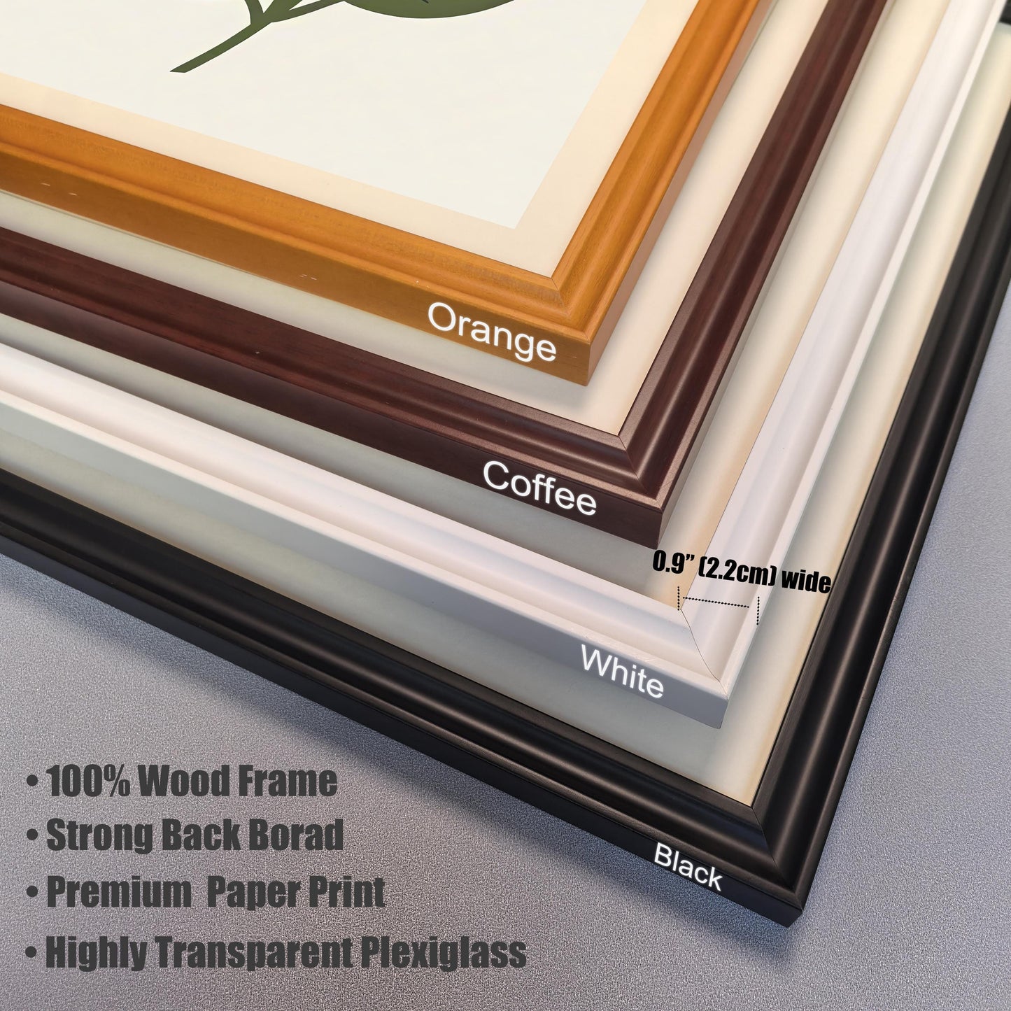 Close-up stacked image showing the four available wood frame colors and materials details. The colors shown are: Orange, Coffee, White, and Black. Text lists features: "100% Wood Frame," "Strong Back Board," "Premium Paper Print," and "Highly Transparent Plexiglass."