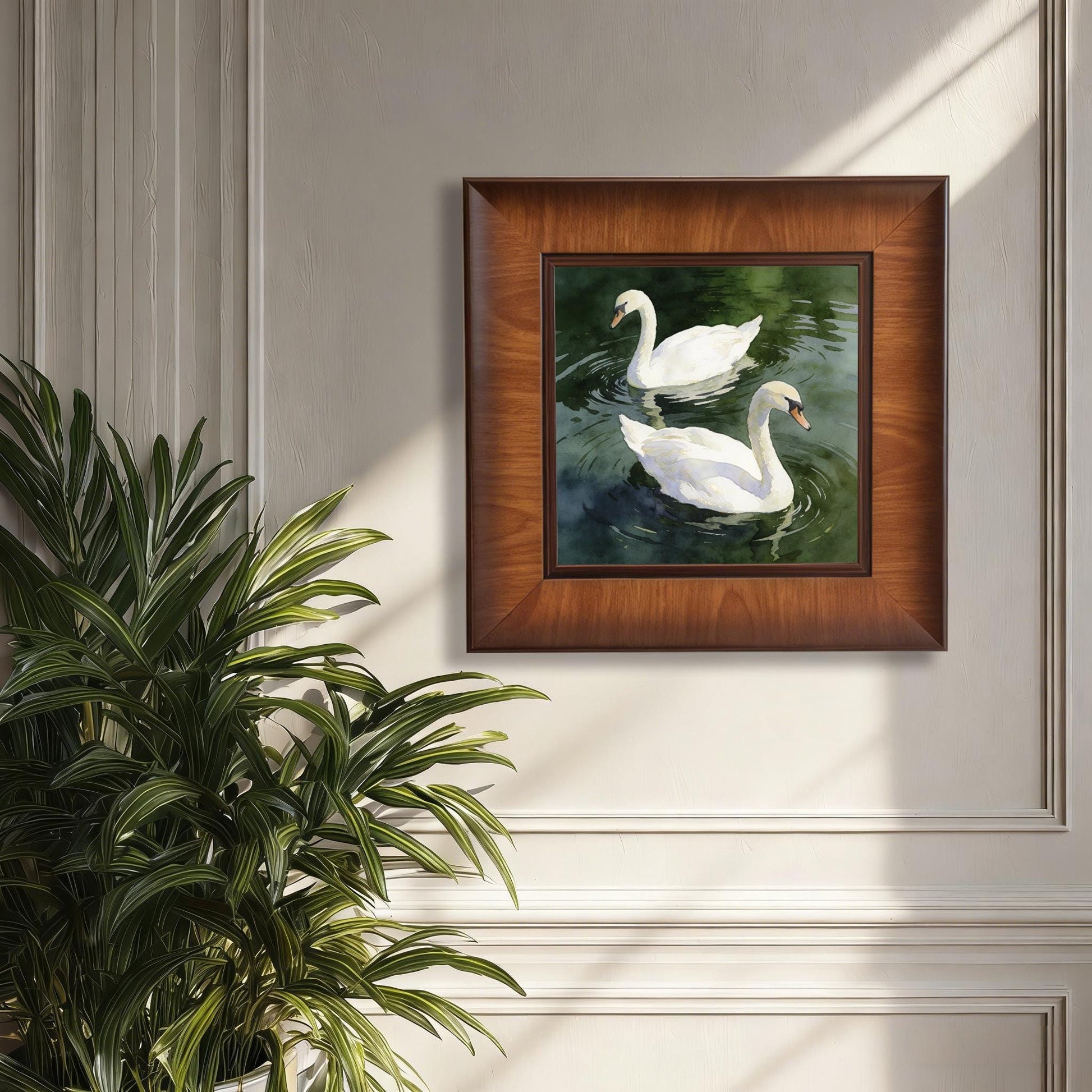 Square wooden framed watercolor print of two white swans on a dark green pond, mounted on a classic cream wall with elegant molding.