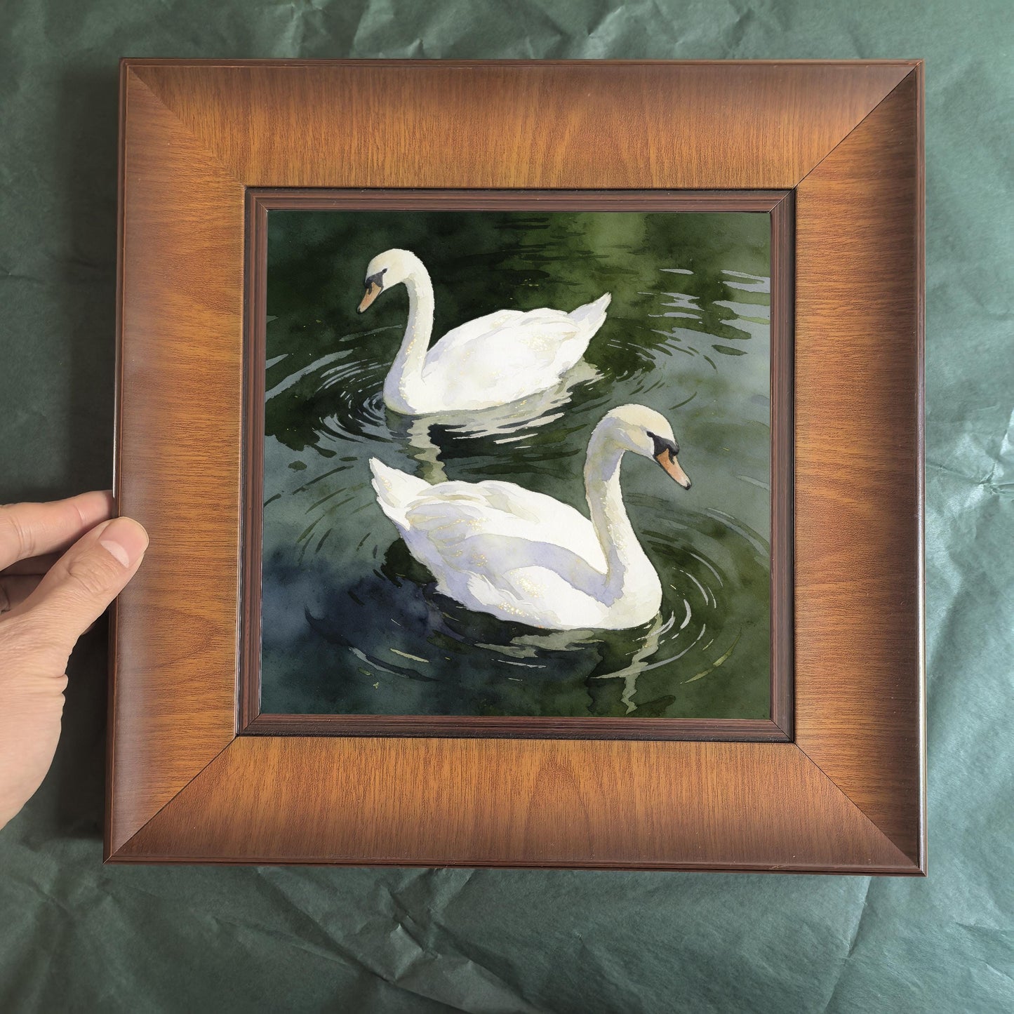 Top-down flat lay view of the square swan art print in its brown wooden frame, held by a hand over a dark green textured background.
